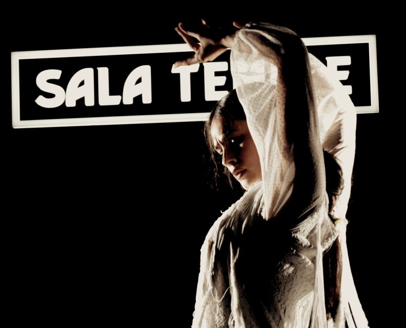 Madrid: Flamenco Show at Tablao Sala Temple with Drink - A good first flamenco show for $29