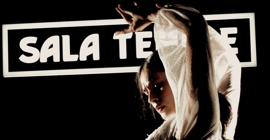 Madrid: Flamenco Show at Tablao Sala Temple with Drink - A one-hour flamenco performance with no distant stage