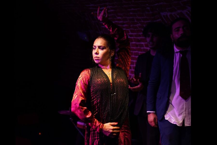 Madrid: Flamenco Show Entry Ticket with Drink & Artist Talk - Entering Madrid’s 1850 flamenco cave