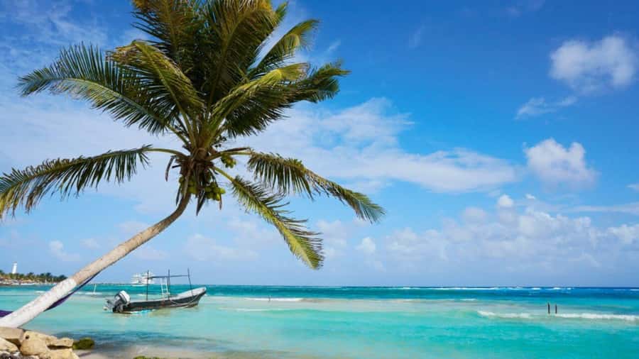 Mahahual: All-Inclusive Costa Maya Beach Break with Open Bar - Meeting Gabriel or Ruth Outside Costa Maya Port
