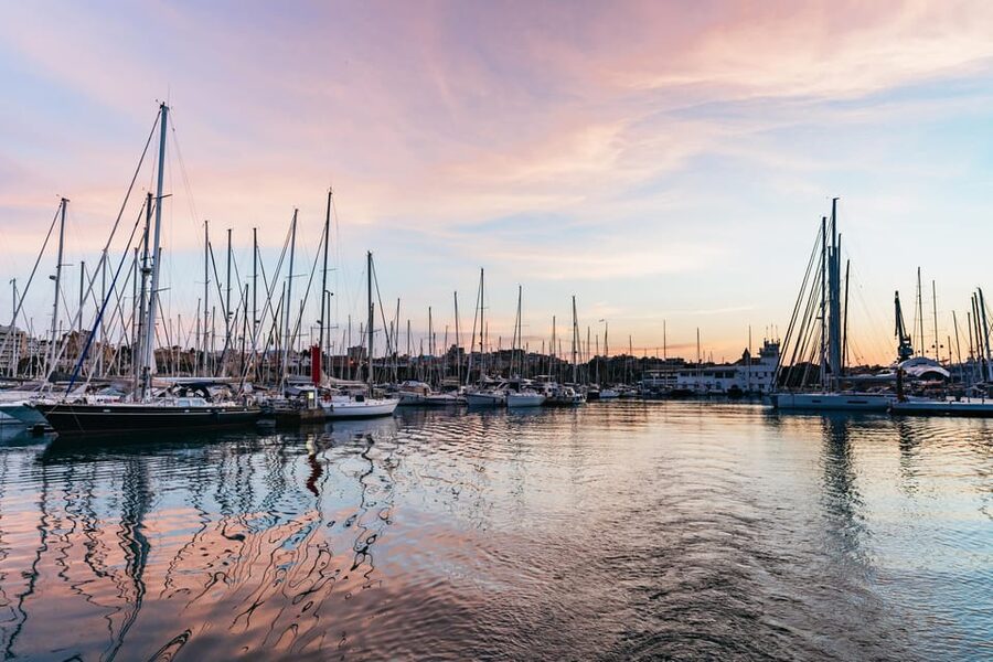 Mallorca: Midday or Sunset Sailing with Snacks and Open Bar - Four hours on Palma Bay
