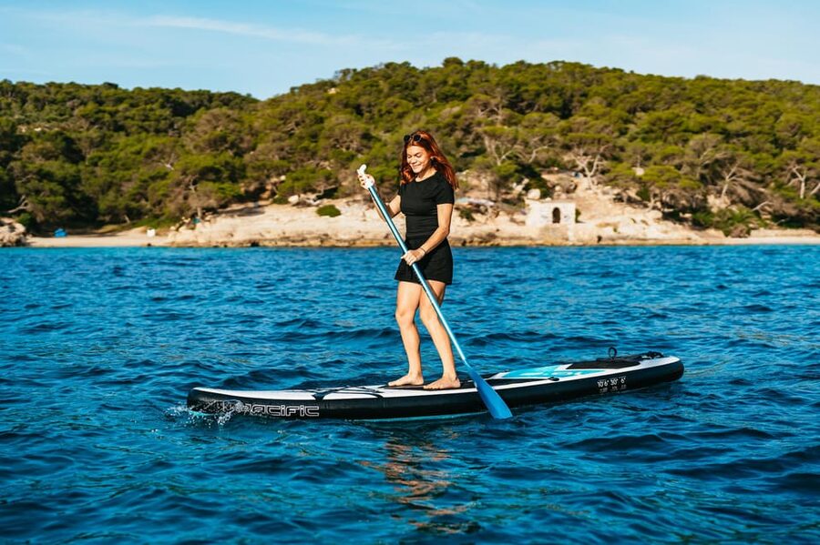 Mallorca: Midday or Sunset Sailing with Snacks and Open Bar - Dolphins, fish, and the luck factor