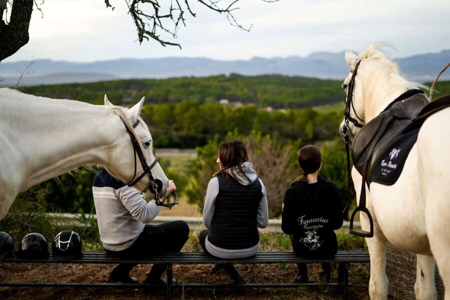Mallorca: Sunset Horseback Ride with Drinks - Starting at Mallorca Horses Center