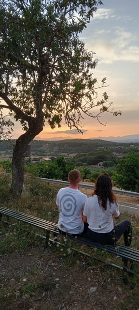 Mallorca: Sunset Horseback Ride with Drinks - Returning through Randa after dark