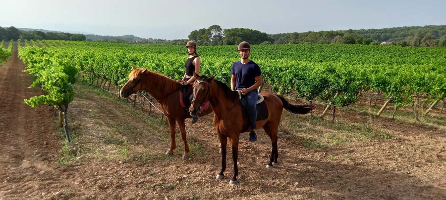 Mallorca: Sunset Horseback Ride with Drinks - What to wear and bring