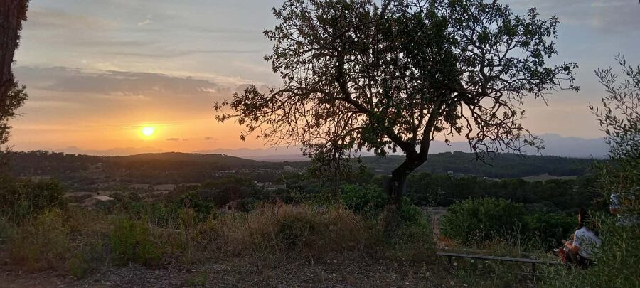 Mallorca: Sunset Horseback Ride with Drinks - Small group value and practical limits