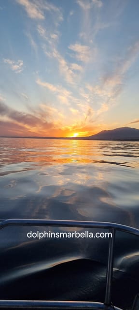 Marbella: Dolphin-Watching Sailboat Trip with Drinks, Snacks - Key details before you book