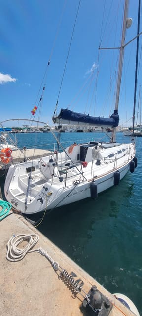 Marbella: Dolphin-Watching Sailboat Trip with Drinks, Snacks - What the $77 price really covers
