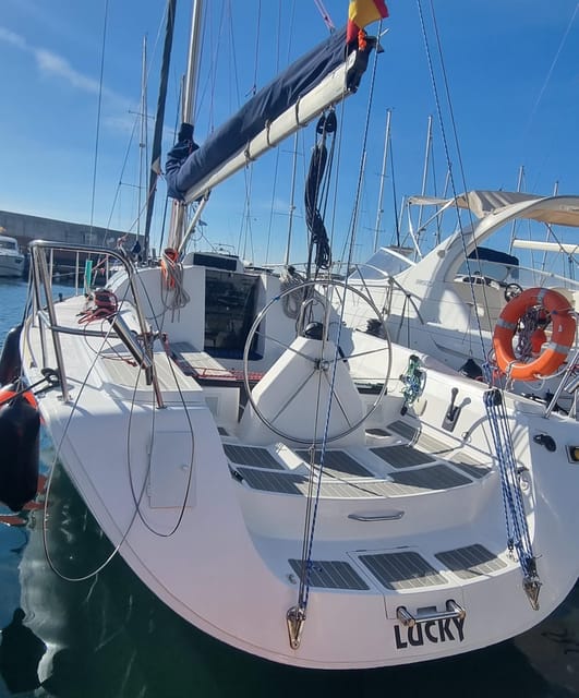 Marbella: Dolphin-Watching Sailboat Trip with Drinks, Snacks - Timing your Marbella boat trip