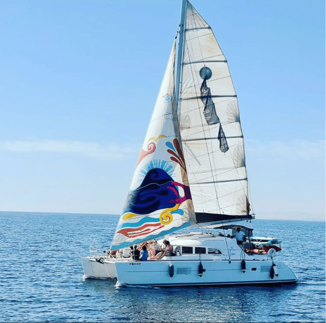 Marbella: Group Dolphin Watching Catamaran Tour with Snacks - Key points to know