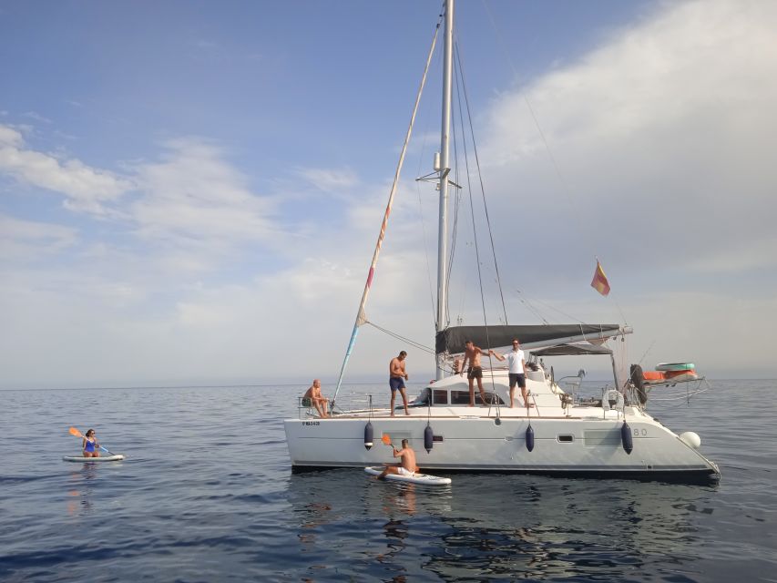 Marbella: Group Dolphin Watching Catamaran Tour with Snacks - The swimming stop and water toys