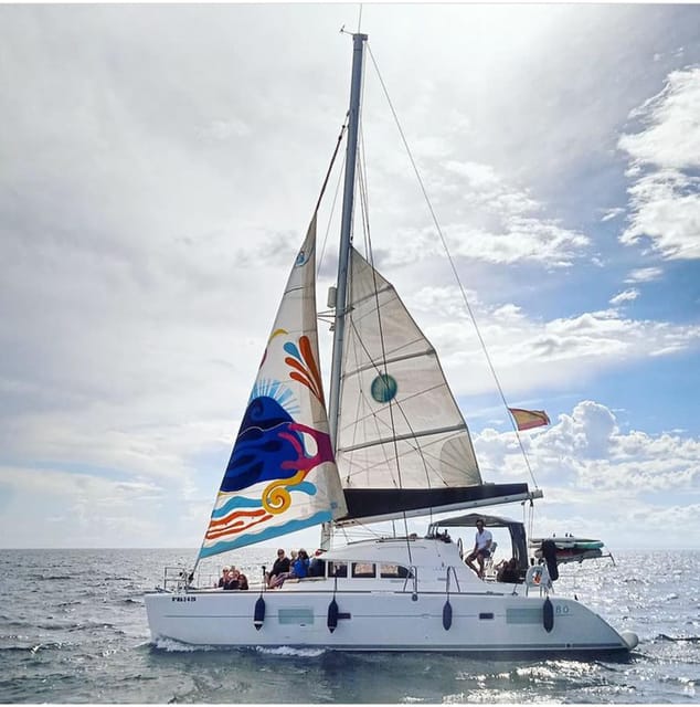 Marbella: Group Dolphin Watching Catamaran Tour with Snacks - Marbella from the water