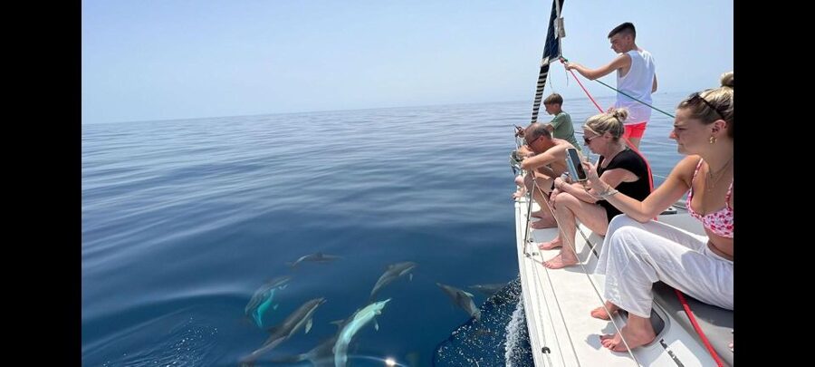 Marbella: Private sailing tour with drink and snack ,2 hours - Dolphins, swimming, and time on the water