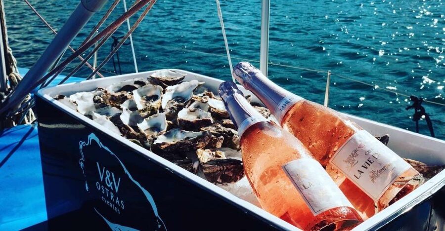 Marbella: Puerto Banús Private Sailing Cruise with Drinks - Sailing, swimming, and watching for dolphins