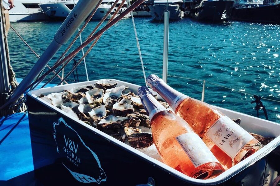 Marbella: Puerto Banús Private Sailing Cruise with Drinks - Choosing between two and eight hours