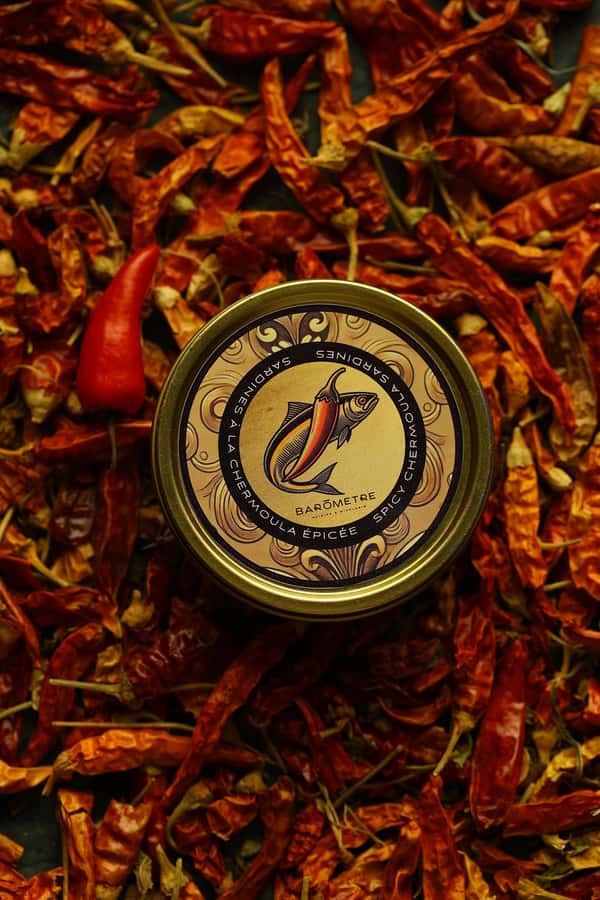 Marrakech: Cocktail Tasting Mixology & Moroccan Tapas - Who will enjoy this Marrakech experience?