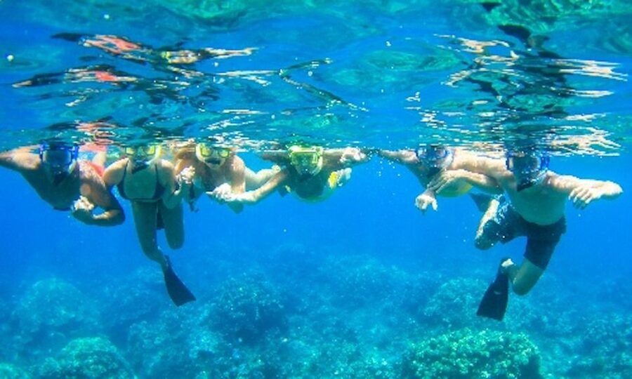 Maui: Kaanapali Beach 4-hour Snorkel w/ BBQ Lunch & Open Bar - Booking, cancellation, and practical timing