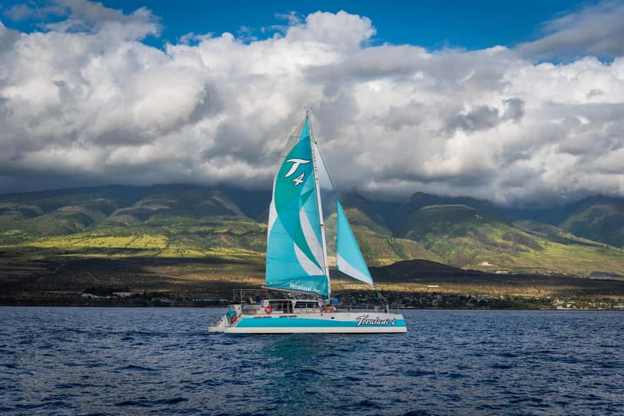 Maui: Kaanapali Whale Watching Boat with Open Bar and Food - Who will get the most from this cruise