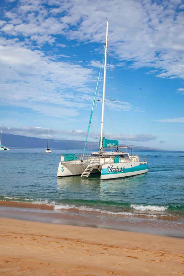 Maui: Kaanapali Whale Watching Boat with Open Bar and Food - Is $167 a fair price?
