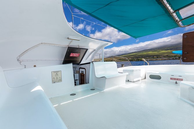 Maui: Whale Watching Cruise with Open Bar from Ka'anapali Beach - Is $115.85 a fair price?