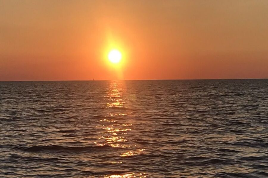 Medulin: Dolphin Sunset Tour 85% chance with Drinks + Dinner - Returning to Medulin after sunset