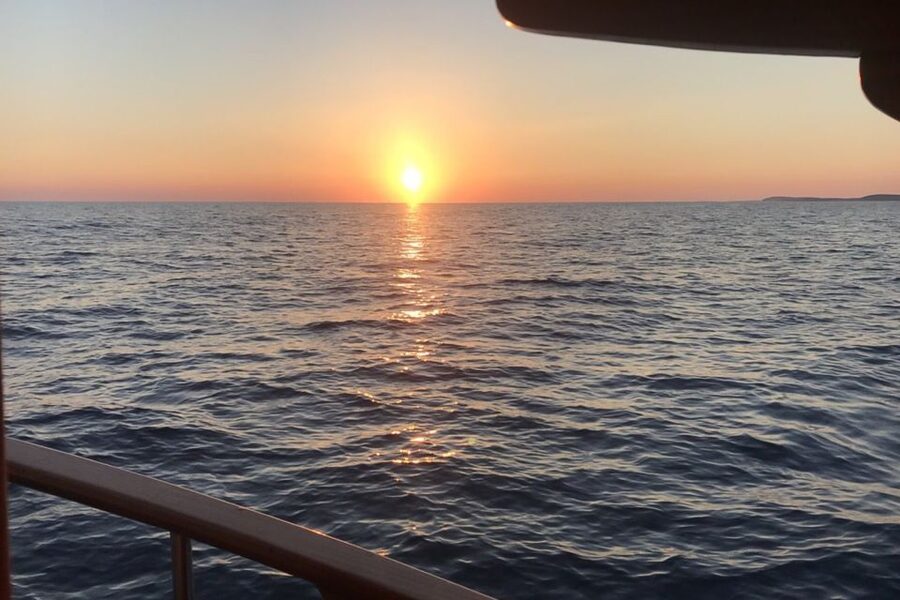 Medulin: Dolphin Sunset Tour 85% chance with Drinks + Dinner - Who will enjoy this evening most