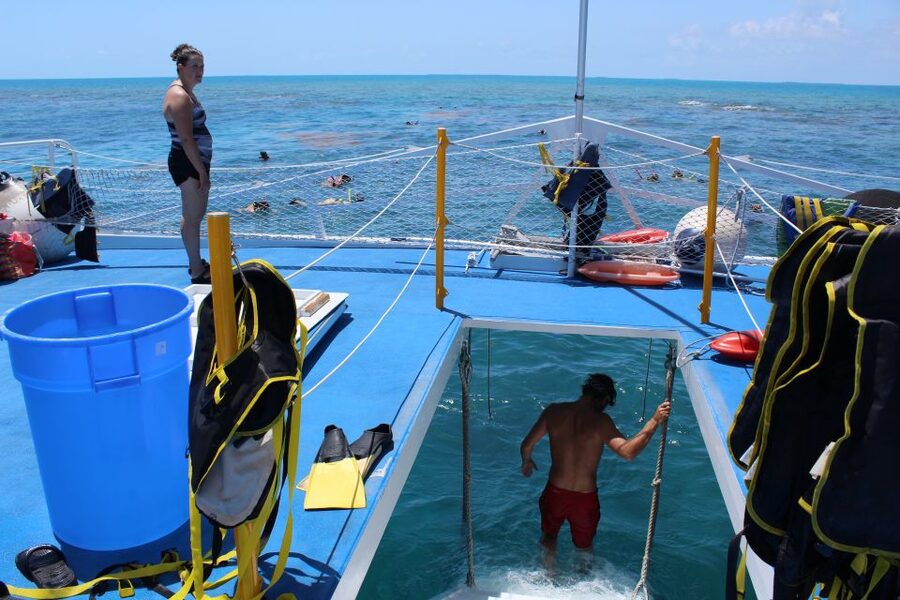Miami: Key West Boat Tour w/ Optional Snorkeling & Open Bar - Snorkeling Over Florida’s Mainland Coral Ecosystem