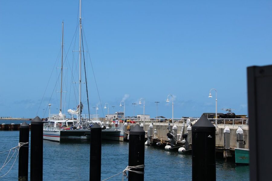 Miami: Key West Boat Tour w/ Optional Snorkeling & Open Bar - Practical Ways to Make the Day Easier