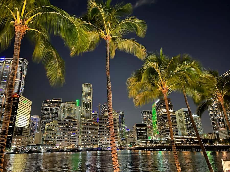 Miami: Party Yacht Cruise with Open Bar and DJ - The live DJ and the party atmosphere
