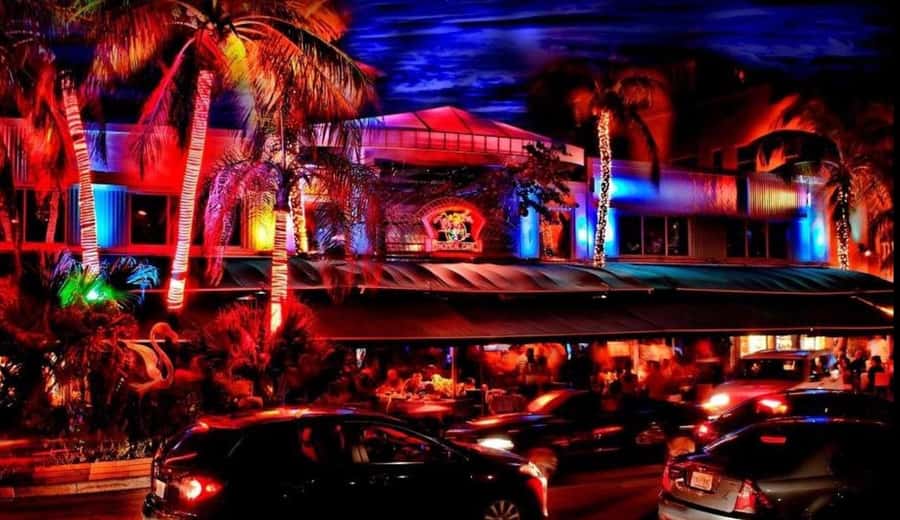 Miami Pub Crawl + Clubbing Experience - Should you book this South Beach pub crawl?
