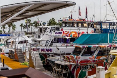 Miami Sunset and City Lights Cocktail Cruise