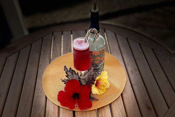 Mixology Class in Bridgetown – 10 Minutes from Cruise Terminal - A Friendly Competition, Not Just a Demonstration