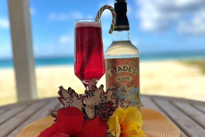 Mixology Class in Bridgetown – 10 Minutes from Cruise Terminal - Starting With Barbadian Rum History