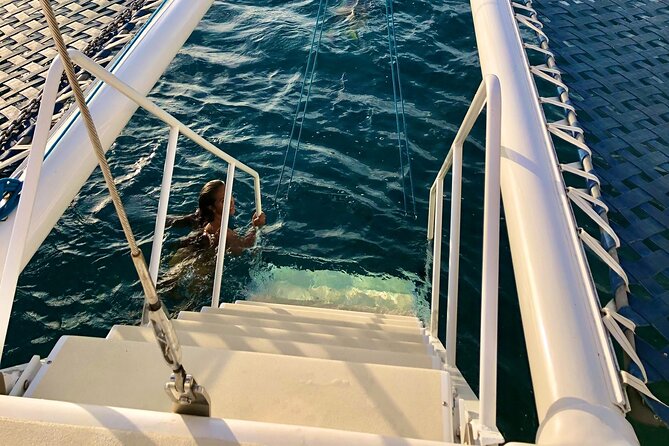 Moana’s Swim’n’Sail Cocktail Cruise Along the Waikiki Coast - Why the crew makes a difference