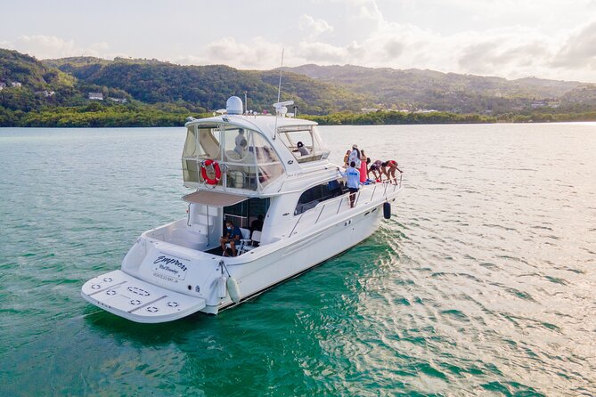 Montego Bay Private Yacht Tour with Open Bar and Lunch - The final cruise toward the fish and bird sanctuary