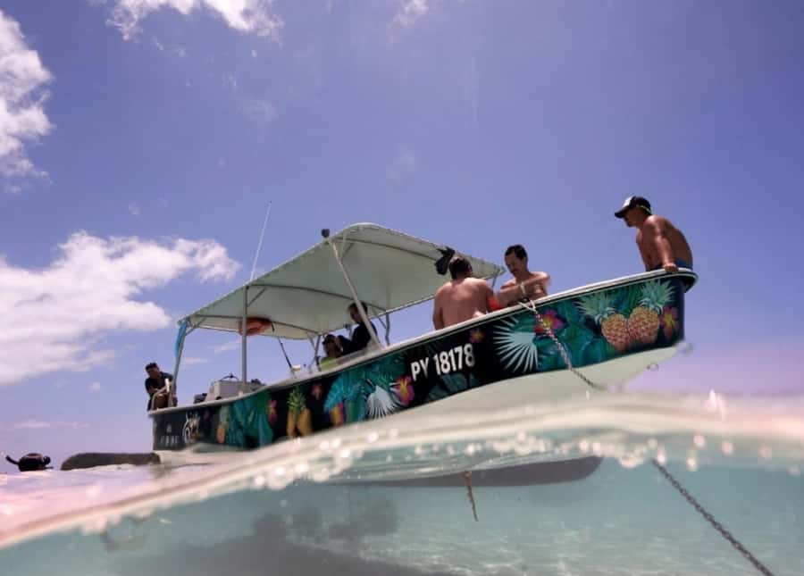 Moorea: Lagoon and Reef Snorkeling Tour with Drinks - Turtles in the lagoon