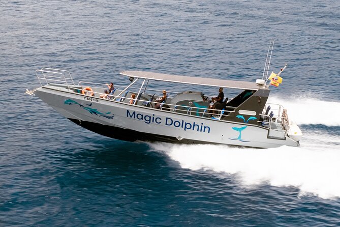 Morro Jable: 2 Hours Magic Dolphin & Whale watching with Drinks & Swim Stop. - What the boat ride feels like