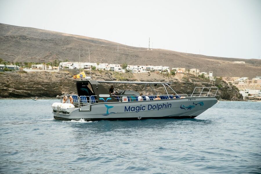 Morro Jable: Dolphin & Whale Watching Cruise, Drinks & Swim - Key points to know before sailing