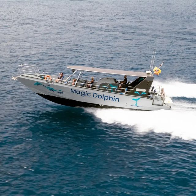 Morro Jable: Dolphin & Whale Watching Cruise, Drinks & Swim - Leaving Morro Jable in search of wild sea life