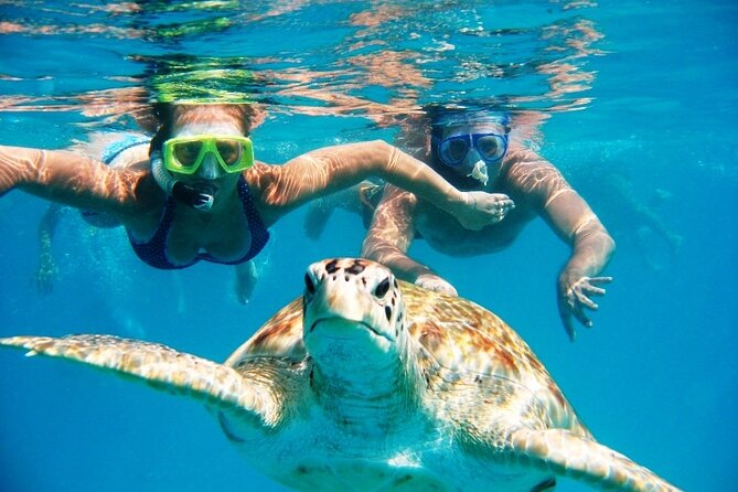 Nassau: Private Island & Snorkeling, Turtles, Drinks & BBQ - Key things to know before you book