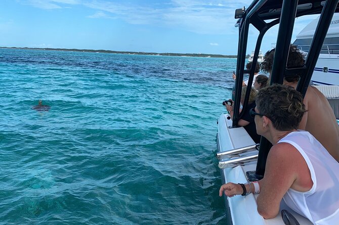 Nassau: Private Island & Snorkeling, Turtles, Drinks & BBQ - A fast boat ride from Paradise Island