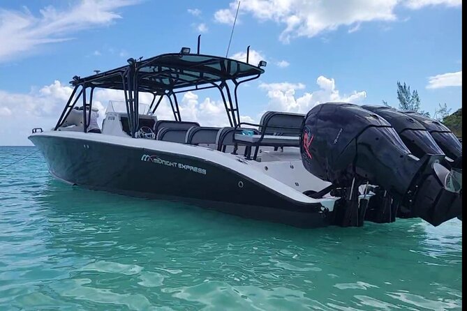 Nassau: Private Island & Snorkeling, Turtles, Drinks & BBQ - The practical question of swimming ability