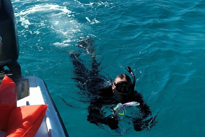 Nassau: Private Island & Snorkeling, Turtles, Drinks & BBQ - Is $100 a fair price?