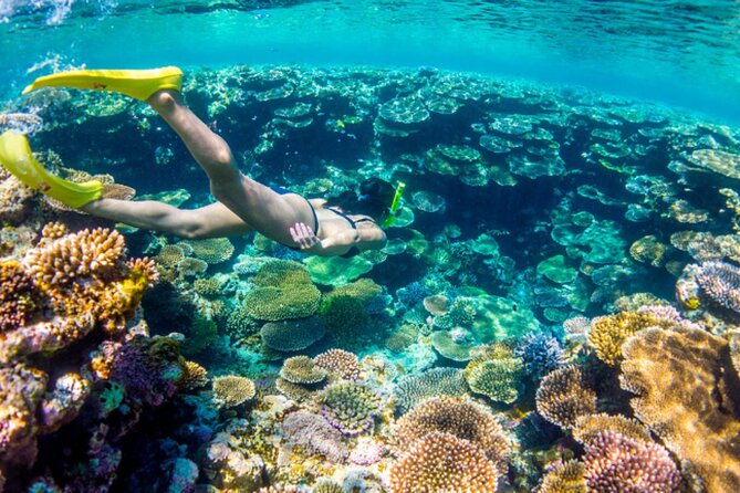Nassau Sail & Snorkel Adventure with 1 Hour Open Bar - From Paradise Island to the Athol Island reef