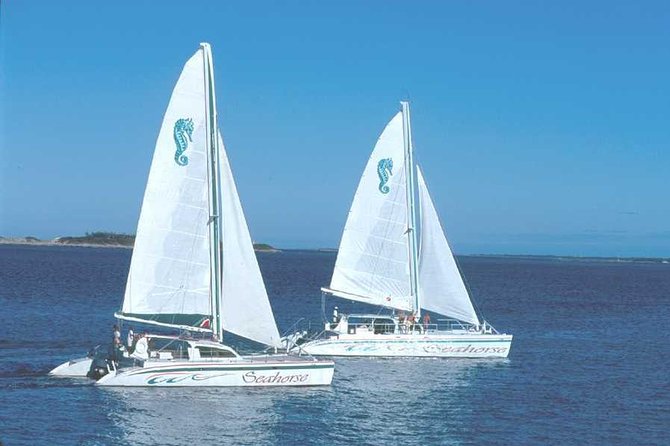 Nassau Sail & Snorkel Adventure with 1 Hour Open Bar - Who should book this Nassau excursion
