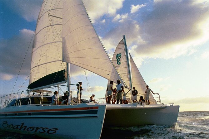 Nassau Sail & Snorkel Adventure with 1 Hour Open Bar - Is this Nassau snorkeling trip worth booking?