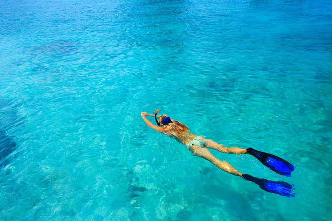 Nassau Sail & Snorkel Adventure with 1 Hour Open Bar - The return ride and the one-hour open bar
