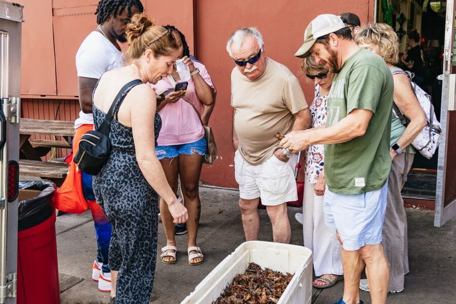 New Orleans: Garden District Food, Drinks & History Tour - Key points to know before booking