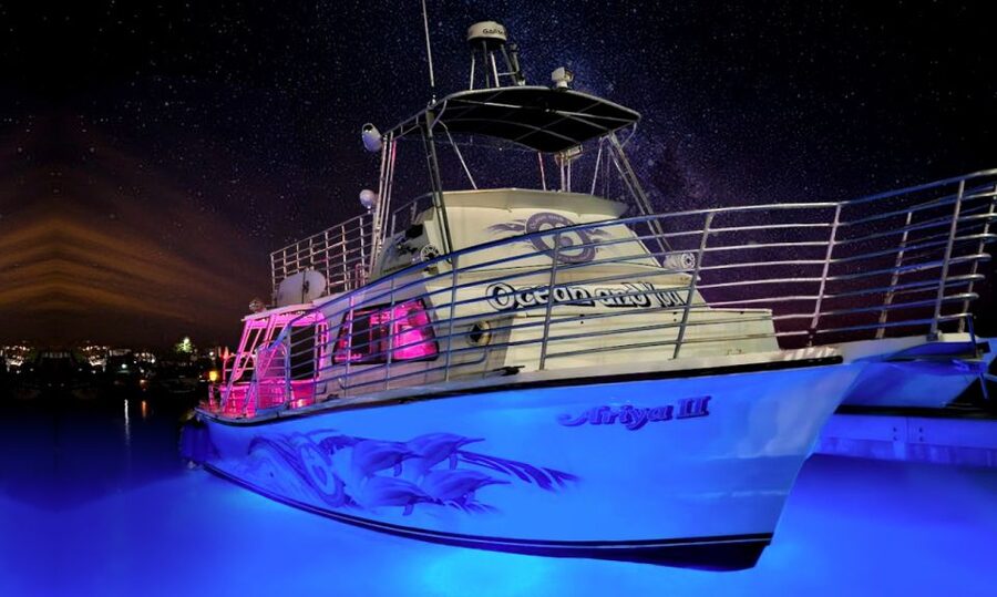 Oahu: Premium Waikiki Sunset Party Cruise with Live DJ - Diamond Head in the last golden light