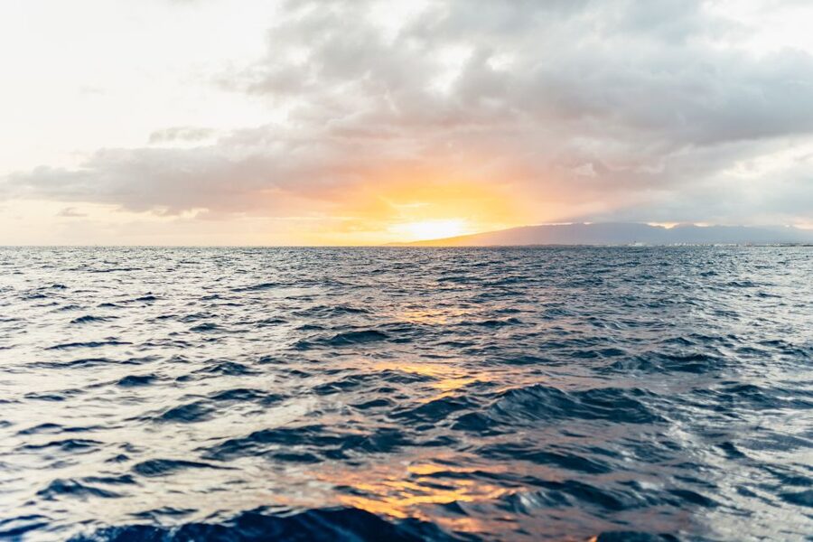 Oahu: Waikiki Sunset Catamaran Cocktail Cruise - Key details at a glance